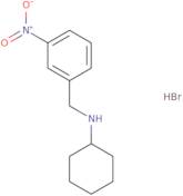 N-(3-Nitrobenzyl)cyclohexanamine hydrobromide