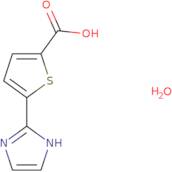 5-(1H-Imidazol-2-yl)-2-thiophenecarboxylic acid hydrate