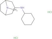 N-Cyclohexyl-8-methyl-8-azabicyclo[3.2.1]octan-3-amine dihydrochloride