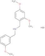 (2,4-Dimethoxybenzyl)(3-methoxybenzyl)amine hydrobromide