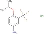 [4-Isopropoxy-3-(trifluoromethyl)phenyl]amine hydrochloride