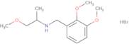 N-(2,3-Dimethoxybenzyl)-1-methoxy-2-propanamine hydrobromide