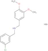 (3-Chlorobenzyl)(3,4-dimethoxybenzyl)amine hydrobromide