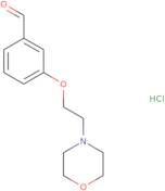 3-[2-(Morpholin-4-yl)ethoxy]benzaldehyde hydrochloride