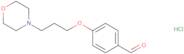 4-[3-(4-Morpholinyl)propoxy]benzaldehyde hydrochloride