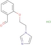 2-[2-(1H-Imidazol-1-yl)ethoxy]benzaldehyde hydrochloride