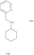 N-(2-Pyridinylmethyl)cyclohexanamine dihydrobromide