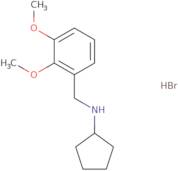 N-(2,3-Dimethoxybenzyl)cyclopentanamine hydrobromide