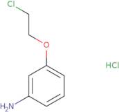 [3-(2-Chloroethoxy)phenyl]amine hydrochloride