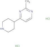 2-methyl-4-(4-piperidinyl)pyrimidine dihydrochloride