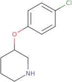 3-(4-chlorophenoxy)piperidine