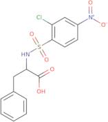 2-(2-Chloro-4-nitrobenzenesulfonamido)-3-phenylpropanoic acid