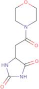 5-[2-(Morpholin-4-yl)-2-oxoethyl]imidazolidine-2,4-dione