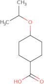 4-(Propan-2-yloxy)cyclohexane-1-carboxylic acid