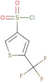 5-(Trifluoromethyl)thiophene-3-sulfonyl chloride