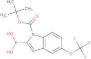 1-boc-5-(trifluoromethoxy)indole-2-boronic acid