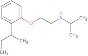 N-{2-[2-(Sec-butyl)phenoxy]ethyl}-2-propanamine