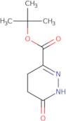 tert-Butyl 6-oxo-1,4,5,6-tetrahydropyridazine-3-carboxylate