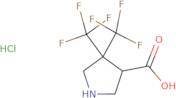 4,4-Bis(trifluoromethyl)pyrrolidine-3-carboxylic acid hydrochloride