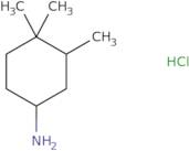 3,4,4-Trimethylcyclohexan-1-amine hydrochloride