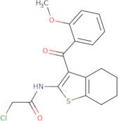 2-Chloro-N-[3-(2-methoxybenzoyl)-4,5,6,7-tetrahydro-1-benzothiophen-2-yl]acetamide