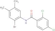 N-(2-Bromo-4,5-dimethylphenyl)-2,4-dichlorobenzamide
