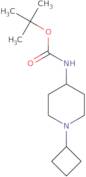 4-(Boc-amino)-1-cyclobutyl-piperidine