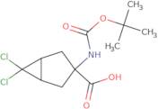 3-(Boc-amino)-6,6-dichlorobicyclo[3.1.0]hexane-3-carboxylic acid