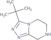 3-tert-Butyl-5H,6H,7H,8H-[1,2,4]triazolo[4,3-a]pyrazine