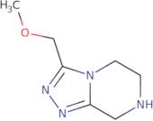 3-(Methoxymethyl)-5H,6H,7H,8H-[1,2,4]triazolo[4,3-a]pyrazine