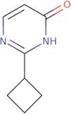 2-Cyclobutylpyrimidin-4-ol