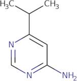 6-Isopropylpyrimidin-4-amine