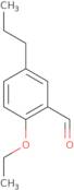 tert-Butyl 6-fluoro-1-methyl-1H-pyrazolo(3,4-B)pyridine-3-carboxylate