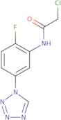 2-Chloro-N-[2-fluoro-5-(1H-1,2,3,4-tetrazol-1-yl)phenyl]acetamide