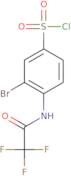 3-Bromo-4-(2,2,2-trifluoroacetamido)benzene-1-sulfonyl chloride