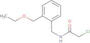 2-Chloro-N-{[2-(ethoxymethyl)phenyl]methyl}acetamide