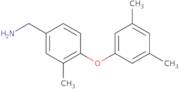 [4-(3,5-Dimethylphenoxy)-3-methylphenyl]methanamine