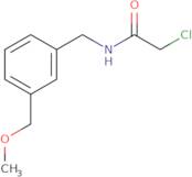 2-Chloro-N-{[3-(methoxymethyl)phenyl]methyl}acetamide