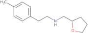 [2-(4-Methylphenyl)ethyl][(oxolan-2-yl)methyl]amine