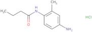 N-(4-Amino-2-methylphenyl)butanamide hydrochloride