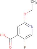 2-Ethoxy-5-fluoroisonicotinic acid