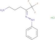 (E)-1-(5-Amino-1,1,1-trifluoropentan-2-ylidene)-2-phenylhydrazine hydrochloride