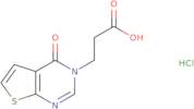 3-{4-Oxo-3H,4H-thieno[2,3-d]pyrimidin-3-yl}propanoic acid hydrochloride