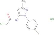 2-Chloro-N-[1-(4-fluorophenyl)-3-methyl-1H-pyrazol-5-yl]acetamidehydrochloride