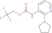 2,2,2-Trifluoroethyl N-[2-(pyrrolidin-1-yl)pyridin-3-yl]carbamate