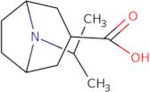 8-(Propan-2-yl)-8-azabicyclo[3.2.1]octane-3-carboxylic acid