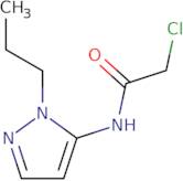 2-Chloro-N-(1-propyl-1H-pyrazol-5-yl)acetamide