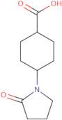 Cis,rel-(1R,2S)-2-(2-oxopyrrolidin-1-yl)cyclohexane-1-carboxylic acid