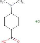 rac-(1R,4R)-4-(Dimethylamino)cyclohexane-1-carboxylic acid hydrochloride