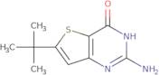 2-Amino-6-tert-butyl-3H-thieno[3,2-d]pyrimidin-4-one